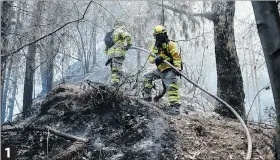 ?? EFE ?? 1. Tierra. Bomberos trabajan en la extinción del incendio en cerro El Cable. 1