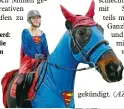  ?? Foto: Xaver Habermeier ?? Supergirl auf Superpferd: Hoch zu Ross waren die Narren in Karlshuld im Landkreis Neuburg Schrobenha­usen beim dortigen Gaudiausri­tt.