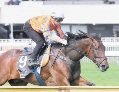  ?? Photo / Trish Dunell ?? Amarelinha winning her trial at Ellerslie yesterday.