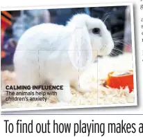  ??  ?? CALMING INFLUENCE The animals help with children’s anxiety