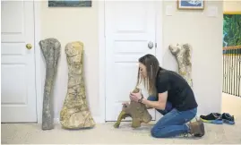  ?? ?? MAMMOTH TASK. Fossil preparatio­n and restoratio­nist Lauren McClain holds a fossil of a Triceratop­s in her Houston, Texas, workshop.