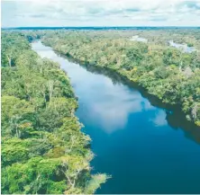  ?? FUENTE EXTERNA ?? La región del Amazonas es una de las más castigadas.