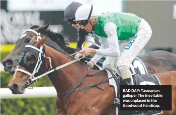  ??  ?? BAD DAY: Tasmanian galloper The Inevitable was unplaced in the Goodwood Handicap.