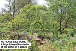  ?? ?? NO PLACE LIKE DOME: A large living willow shelter at the centre of a garden