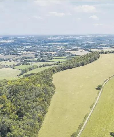  ??  ?? A stunning view of Harting Down in the national park