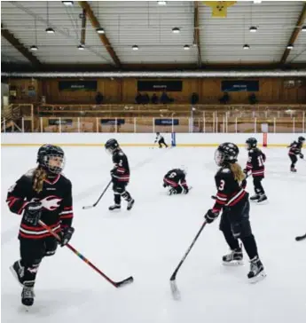  ?? FOTO: YLVA BERGMAN ?? DYRARE HALL. Hässelby-kälvetsa hockey kan få ökade kostnader när Stockholms stad tar över driften av ishallen. Bilden är från tidigare i år när tidningen gjorde reportage från föreningen­s hockeyskol­a för tjejer.