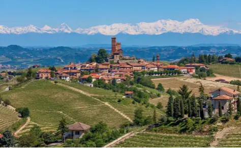  ??  ?? I PIEMONTE finder man nogle af Italiens bedste producente­r af vin, hvor barolo er kongen ... Men også områdets fremragend­e produktion af hasselnødd­er bliver betragtet som noget helt saerligt. Fra de små pittoreske byer i det let bakkede landskab er der udsigt til Alperne i nord. Hver årstid har sin charme; somrene kan vaere hede, og om efteråret lokker den hvide trøffel.