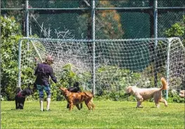  ?? Robert Gauthier Los Angeles Times ?? TWO dog owners — a philanthro­pist and an interior designer — are fighting over a 2022 encounter at Veterans’ Barrington Park, shown this month, in Brentwood.