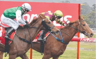  ??  ?? DIGGING DEEP: Dixie's Boy (Troy Baker) toughs it out to win a maiden-class one in Devonport.