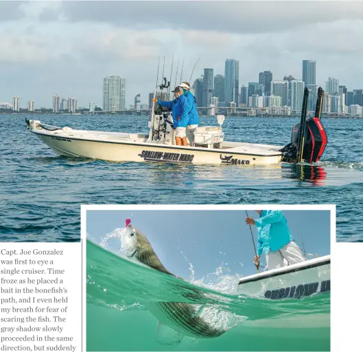  ??  ?? ’NUFF DEPTH: Many productive Biscayne Bay flats are accessible to bay boats, top.
GOT ’EM: Jigs with bucktail, soft-plastic tails or tipped with shrimp work well, above.