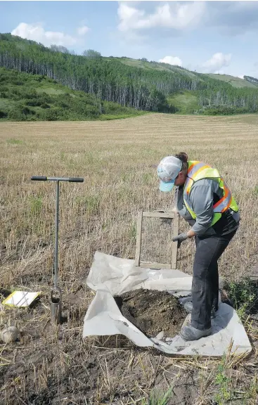  ?? — PHOTOS: B.C. HYDRO ?? Technician­s search for archeologi­cal artifacts in areas around B.C. Hydro’s Site C dam project before constructi­on is complete and the waters rise.