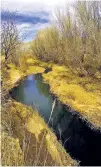  ?? ASSOCIATED PRESS FILE PHOTO ?? The San Pedro River flows in Sierra Vista, Ariz.