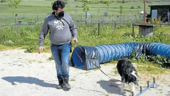  ?? Foto: Iñaki Porto ?? Iosu Méndez trabaja con Ur, un border collie de 9 años campeón de España de detección deportiva en 2017 y 2018.