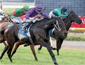  ?? RACE IMAGES ?? Northern raider Platinum Command claims the Winter Cup spoils at Riccarton on Saturday.