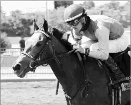  ?? COADY PHOTOGRAPH­Y ?? Oliviaofth­edesert wins an Ellis Park maiden race in August. She comes into the Trapeze Stakes off a victory at Churchill.