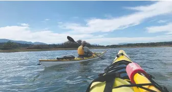  ??  ?? Kayaking the Cowichan Estuary, noting the kingfisher­s and killdeer as we go.