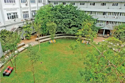  ??  ?? As the trees in the quadrangle rise to the sky, those who have passed through the portals of the Faculty of Medicine, Colombo, hope this august institutio­n too would reach greater heights. Pix by Amila Gamage