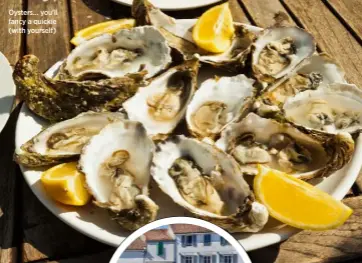  ??  ?? Oysters… you’ll fancy a quickie (with yourself)