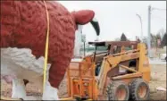  ??  ?? Peter Richardson uses a loader to push Lucky onto a trailer on Saturday, April 7, 2017.
