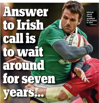  ?? SPORTSFILE ?? Minted: Jared Payne qualified for Ireland in 2014