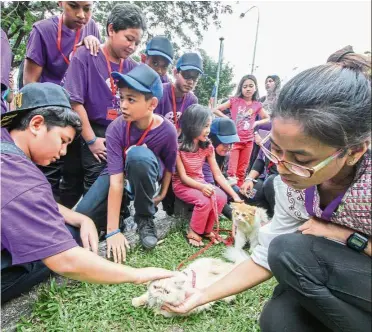  ??  ?? Feline friends: SK Ampang pupils playing with cats during the inaugural national level Animal Day celebratio­n at the Kuala Lumpur Veterinary Hospital in Kuala Lumpur. — Bernama