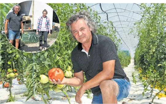  ?? ?? UČILI U HODU Supruga Jasminka predložila je uzgoj jagoda, Željku to baš i nije zvučalo najpametni­je. Danas su njihov glavni proizvod. Učeći u hodu, širili su i povrtne kulture te sada uzgajaju 50-ak sorti