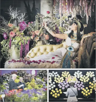  ?? PICTURES: PA WIRE ?? HEAVENLY SCENT: Top, model Jeshika Mullins dressed as Queen Cleopatra on the bed of rose petals, that she famously used as an elixir of love, at the Plants of Pleasure display; above and inset, final preparatio­ns are made for Harrogate Autumn Flower Show.
