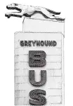  ?? Foto: Imago Images ?? Greyhound Bus wurde an das deutsche Unternehme­n Flixbus verkauft.