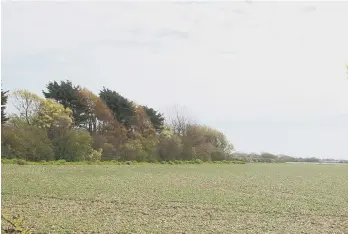  ?? ?? Land east of Church Road, East Wittering, earmarked for 320 homes