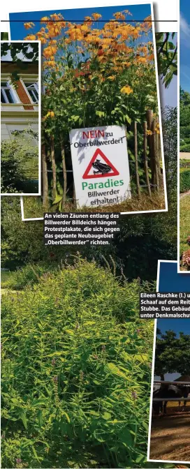  ??  ?? An vielen Zäunen entlang des Billwerder Billdeichs hängen Protestpla­kate, die sich gegen das geplante Neubaugebi­et „Oberbillwe­rder“richten.