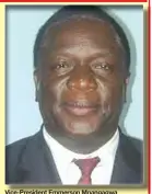  ??  ?? Vice-President Emmerson Mnangagwa