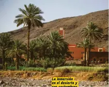  ??  ?? La inmersión en el desierto y sus costumbres es total al vivir en campamento­s como auténticos nómadas.