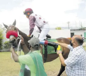  ??  ?? Jockey Anthony Thomas being assisted by trainer Jason Dacosta to mount
King Arthur.