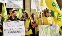  ?? ?? ALLEVATORI CONTRO A sinistra, carne coltivata in laboratori­o. Sopra, allevatori di Coldiretti protestano in piazza a Roma.