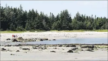  ?? — Photo by The Canadian Press ?? The Nature Conservanc­y of Canada acquired a pristine white beach on Nova Scotia’s south shore that hosts the endangered piping plover.