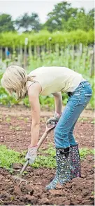  ??  ?? SOIL TOIL: Prepare the ground well