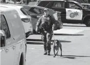  ?? ?? An Orange County Sheriff’s Department K-9 unit checks the grounds at Geneva Presbyteri­an Church in Laguna Woods, Calif., early Sunday afternoon.