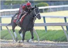  ?? GEOFF BURKE, USA TODAY SPORTS ?? Classic Empire gallops on the track during a morning workout Tuesday in preparatio­n for the Preakness on Saturday.