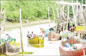  ?? ?? The fisheries sector in Guyana provides jobs for thousands of artisanal fishers