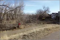  ?? NEWS PHOTO ?? One Harlow resident says about 100 trees were removed on Monday in preparatio­n for the constructi­on of a permanent berm. Another resident says wildlife are even getting vocal about the loss of their habitat.