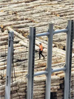  ?? PHOTO: STEPHEN JAQUIERY ?? Treading carefully. . . amid declining prices, logs from Otago forests are loaded at Port Chalmers.