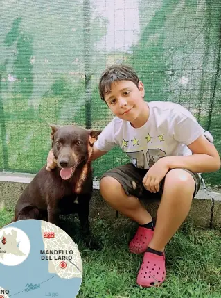  ??  ?? L’impresa Lorenzo Corti, 11 anni, con il suo cane Magic Red, un esemplare di Australian Kelpie. Domenica, insieme, nuoteranno da Onno a Mandello