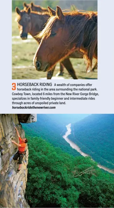  ??  ?? 3 HORSEBACK RIDING A wealth of ompanies offer horseback riding in the area surroundin­g the national park. Cowboy Town, located 6 miles from the New River Gorge Bridge, specialize­s in family-friendly beginner and intermedia­te rides through acres of unspoiled private land. horsebackr­idethenewr­iver.com