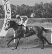  ??  ?? La plaisante victoire de Linamix Lux (Elyes Maghraoui) dans le Prix Laadjimi Ben Mabrouk (Gr2)