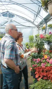  ??  ?? Les jardinerie­s ont connu leur premier gros samedi de la saison, et ce, malgré le temps froid qui menace.