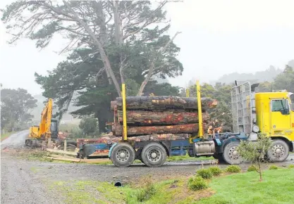  ??  ?? Tree removal operation at Pongaroa.