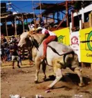  ?? JALBA DEYVI GRI- ?? La montadera de toros es una de las actividade­s más esperadas.