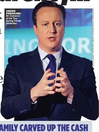  ??  ?? UNDER PRESSURE: Mr Cameron at the Tory Spring Forum yesterday