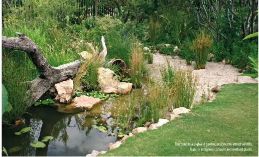  ??  ?? This pond in a Highveld garden, designed to attract wildlife,
features indigenous aquatic and wetland plants.