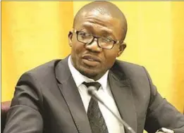  ??  ?? Environmen­t minister Nqobizitha Mangaliso Ndhlovu